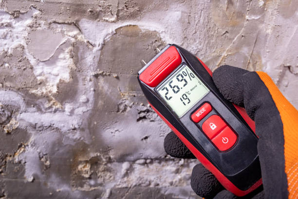 Mold Removal Process in Abbeville, GA